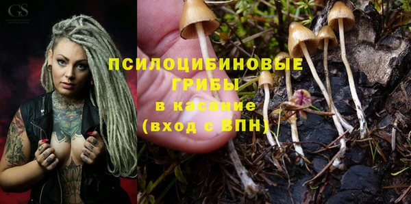 mix Абаза