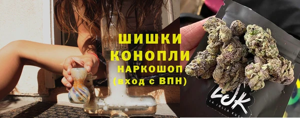 ГАЛЛЮЦИНОГЕННЫЕ ГРИБЫ Абдулино