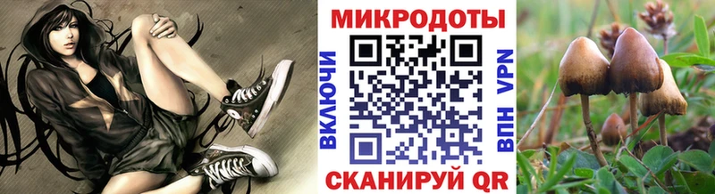 Псилоцибиновые грибы прущие грибы  купить наркотики цена  Краснокамск 